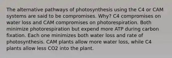 The alternative pathways of photosynthesis using the C4 or CAM systems are said to be compromises. Why? C4 compromises on water loss and CAM compromises on photorespiration. Both minimize photorespiration but expend more ATP during carbon fixation. Each one minimizes both water loss and rate of photosynthesis. CAM plants allow more water loss, while C4 plants allow less CO2 into the plant.