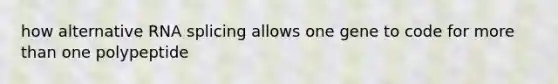 how alternative RNA splicing allows one gene to code for <a href='https://www.questionai.com/knowledge/keWHlEPx42-more-than' class='anchor-knowledge'>more than</a> one polypeptide