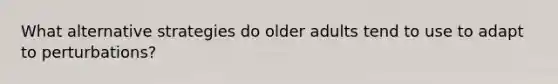 What alternative strategies do older adults tend to use to adapt to perturbations?