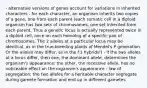 - alternative versions of genes account for variations in inherited characters - for each character, an organism inherits two copies of a gene, one from each parent (each somatic cell in a diploid organism has two sets of chromosomes, one set inherited from each parent. Thus a genetic locus is actually represented twice in a diploid cell, once on each homolog of a specific pair of chromosomes. The 2 alleles at a particular locus may be identical, as in the true-breeding plants of Mendel's P generation. Or the alleles may differ, as in the F1 hybrids!) - if the two alleles at a locus differ, then one, the dominant allele, determines the organism's appearance; the other, the recessive allele, has no noticeable effect on the organism's appearance - law of segregation: the two alleles for a heritable character segregate during gamete formation and end up in different gametes