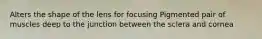 Alters the shape of the lens for focusing Pigmented pair of muscles deep to the junction between the sclera and cornea