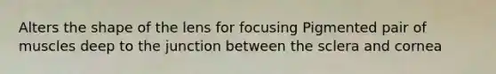 Alters the shape of the lens for focusing Pigmented pair of muscles deep to the junction between the sclera and cornea