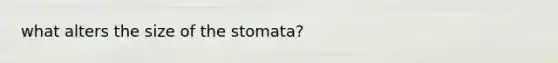 what alters the size of the stomata?