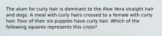 The alum for curly hair is dominant to the Aloe Vera straight hair and dogs. A meal with curly hairs crossed to a female with curly hair. Four of their six puppies have curly hair. Which of the following squares represents this cross?