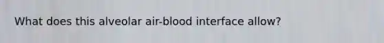 What does this alveolar air-blood interface allow?