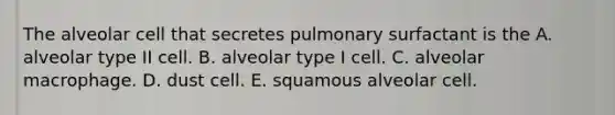 The alveolar cell that secretes pulmonary surfactant is the A. alveolar type II cell. B. alveolar type I cell. C. alveolar macrophage. D. dust cell. E. squamous alveolar cell.