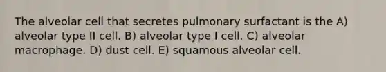 The alveolar cell that secretes pulmonary surfactant is the A) alveolar type II cell. B) alveolar type I cell. C) alveolar macrophage. D) dust cell. E) squamous alveolar cell.