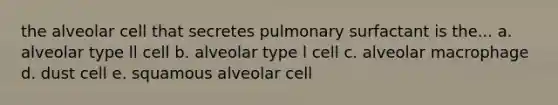 the alveolar cell that secretes pulmonary surfactant is the... a. alveolar type ll cell b. alveolar type l cell c. alveolar macrophage d. dust cell e. squamous alveolar cell