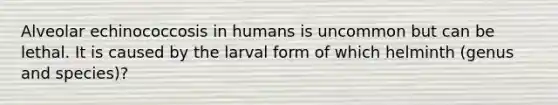 Alveolar echinococcosis in humans is uncommon but can be lethal. It is caused by the larval form of which helminth (genus and species)?