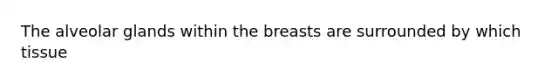 The alveolar glands within the breasts are surrounded by which tissue