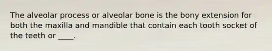 The alveolar process or alveolar bone is the bony extension for both the maxilla and mandible that contain each tooth socket of the teeth or ____.