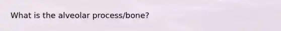 What is the alveolar process/bone?