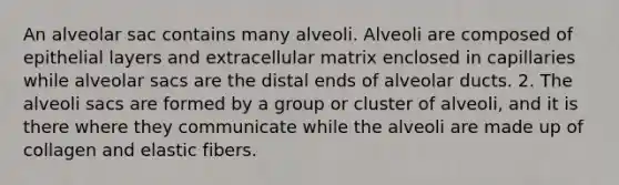 An alveolar sac contains many alveoli. Alveoli are composed of epithelial layers and extracellular matrix enclosed in capillaries while alveolar sacs are the distal ends of alveolar ducts. 2. The alveoli sacs are formed by a group or cluster of alveoli, and it is there where they communicate while the alveoli are made up of collagen and elastic fibers.