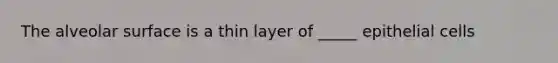 The alveolar surface is a thin layer of _____ epithelial cells