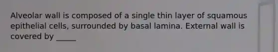 Alveolar wall is composed of a single thin layer of squamous epithelial cells, surrounded by basal lamina. External wall is covered by _____