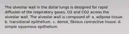 The alveolar wall in the distal lungs is designed for rapid diffusion of the respiratory gases, O2 and CO2 across the alveolar wall. The alveolar wall is composed of: a. adipose tissue. b. transitional epithelium. c. dense, fibrous connective tissue. d. simple squamous epithelium.