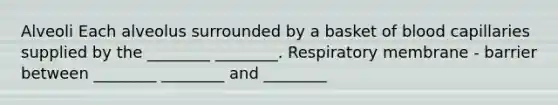 Alveoli Each alveolus surrounded by a basket of blood capillaries supplied by the ________ ________. Respiratory membrane - barrier between ________ ________ and ________