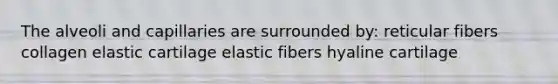 The alveoli and capillaries are surrounded by: reticular fibers collagen elastic cartilage elastic fibers hyaline cartilage