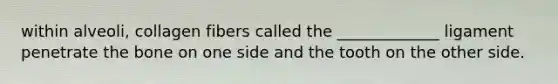 within alveoli, collagen fibers called the _____________ ligament penetrate the bone on one side and the tooth on the other side.