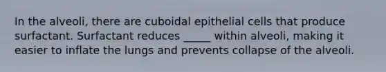 In the alveoli, there are cuboidal epithelial cells that produce surfactant. Surfactant reduces _____ within alveoli, making it easier to inflate the lungs and prevents collapse of the alveoli.