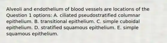 Alveoli and endothelium of blood vessels are locations of the Question 1 options: A. ciliated pseudostratified columnar epithelium. B. transitional epithelium. C. simple cuboidal epithelium. D. stratified squamous epithelium. E. simple squamous epithelium.