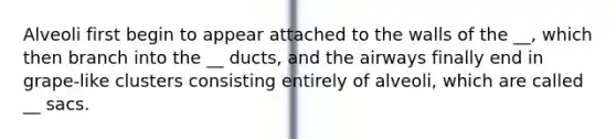 Alveoli first begin to appear attached to the walls of the __, which then branch into the __ ducts, and the airways finally end in grape-like clusters consisting entirely of alveoli, which are called __ sacs.