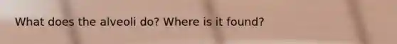 What does the alveoli do? Where is it found?