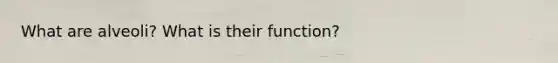 What are alveoli? What is their function?