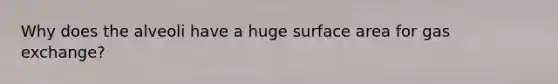Why does the alveoli have a huge surface area for gas exchange?