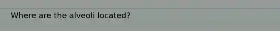 Where are the alveoli located?
