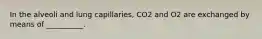 In the alveoli and lung capillaries, CO2 and O2 are exchanged by means of __________.