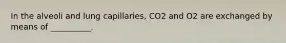 In the alveoli and lung capillaries, CO2 and O2 are exchanged by means of __________.