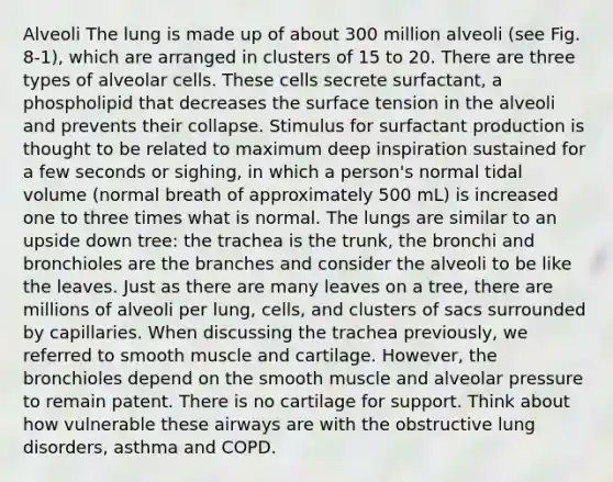 Alveoli The lung is made up of about 300 million alveoli (see Fig. 8-1), which are arranged in clusters of 15 to 20. There are three types of alveolar cells. These cells secrete surfactant, a phospholipid that decreases the surface tension in the alveoli and prevents their collapse. Stimulus for surfactant production is thought to be related to maximum deep inspiration sustained for a few seconds or sighing, in which a person's normal tidal volume (normal breath of approximately 500 mL) is increased one to three times what is normal. The lungs are similar to an upside down tree: the trachea is the trunk, the bronchi and bronchioles are the branches and consider the alveoli to be like the leaves. Just as there are many leaves on a tree, there are millions of alveoli per lung, cells, and clusters of sacs surrounded by capillaries. When discussing the trachea previously, we referred to smooth muscle and cartilage. However, the bronchioles depend on the smooth muscle and alveolar pressure to remain patent. There is no cartilage for support. Think about how vulnerable these airways are with the obstructive lung disorders, asthma and COPD.