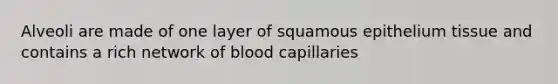 Alveoli are made of one layer of squamous epithelium tissue and contains a rich network of blood capillaries