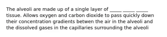 The alveoli are made up of a single layer of _____ _____ _____ tissue. Allows oxygen and carbon dioxide to pass quickly down their concentration gradients betwen the air in the alveoli and the dissolved gases in the capillaries surrounding the alveoli