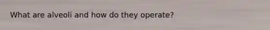 What are alveoli and how do they operate?