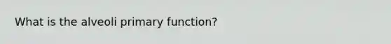 What is the alveoli primary function?