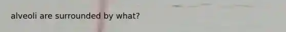 alveoli are surrounded by what?