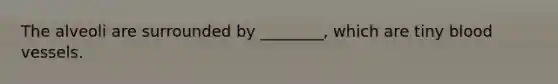 The alveoli are surrounded by ________, which are tiny <a href='https://www.questionai.com/knowledge/kZJ3mNKN7P-blood-vessels' class='anchor-knowledge'>blood vessels</a>.