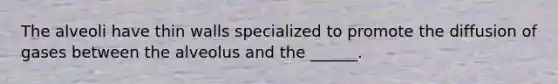 The alveoli have thin walls specialized to promote the diffusion of gases between the alveolus and the ______.