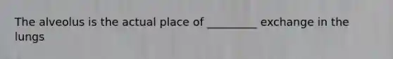 The alveolus is the actual place of _________ exchange in the lungs