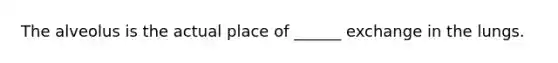 The alveolus is the actual place of ______ exchange in the lungs.
