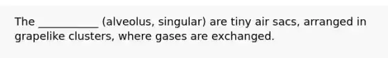 The ___________ (alveolus, singular) are tiny air sacs, arranged in grapelike clusters, where gases are exchanged.