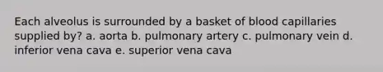 Each alveolus is surrounded by a basket of blood capillaries supplied by? a. aorta b. pulmonary artery c. pulmonary vein d. inferior vena cava e. superior vena cava