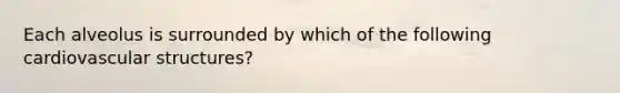 Each alveolus is surrounded by which of the following cardiovascular structures?