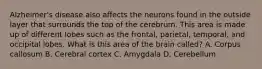 Alzheimer's disease also affects the neurons found in the outside layer that surrounds the top of the cerebrum. This area is made up of different lobes such as the frontal, parietal, temporal, and occipital lobes. What is this area of the brain called? A. Corpus callosum B. Cerebral cortex C. Amygdala D. Cerebellum