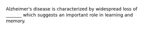 Alzheimer's disease is characterized by widespread loss of _______ which suggests an important role in learning and memory.