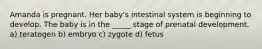 Amanda is pregnant. Her baby's intestinal system is beginning to develop. The baby is in the _____ stage of prenatal development. a) teratogen b) embryo c) zygote d) fetus