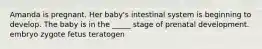 Amanda is pregnant. Her baby's intestinal system is beginning to develop. The baby is in the _____ stage of prenatal development. embryo zygote fetus teratogen