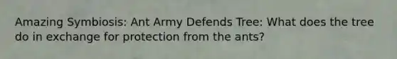 Amazing Symbiosis: Ant Army Defends Tree: What does the tree do in exchange for protection from the ants?